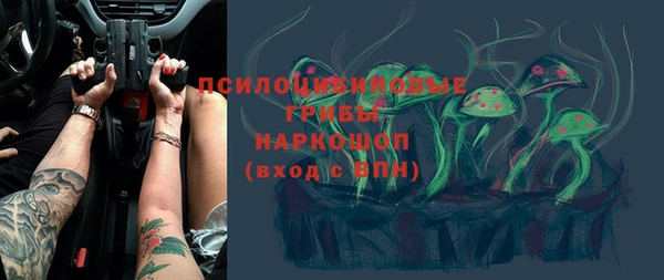 apvp Армянск